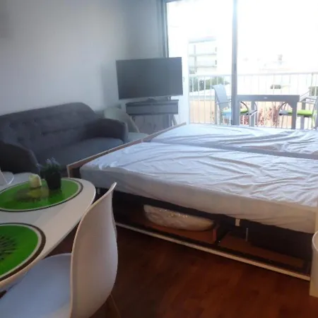24m² Au Centre D'arcachon, Proche Gare Et Plage, Balcon Sud - Fr-1-374-104 Lejlighed *