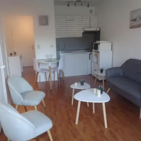 24m² Au Centre D'arcachon, Proche Gare Et Plage, Balcon Sud - Fr-1-374-104 Lejlighed